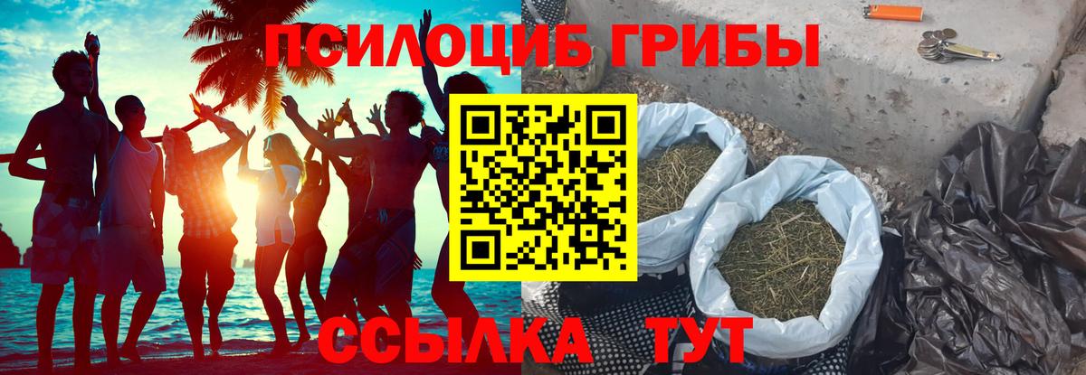 Галлюциногенные грибы ЛСД Урус-Мартан