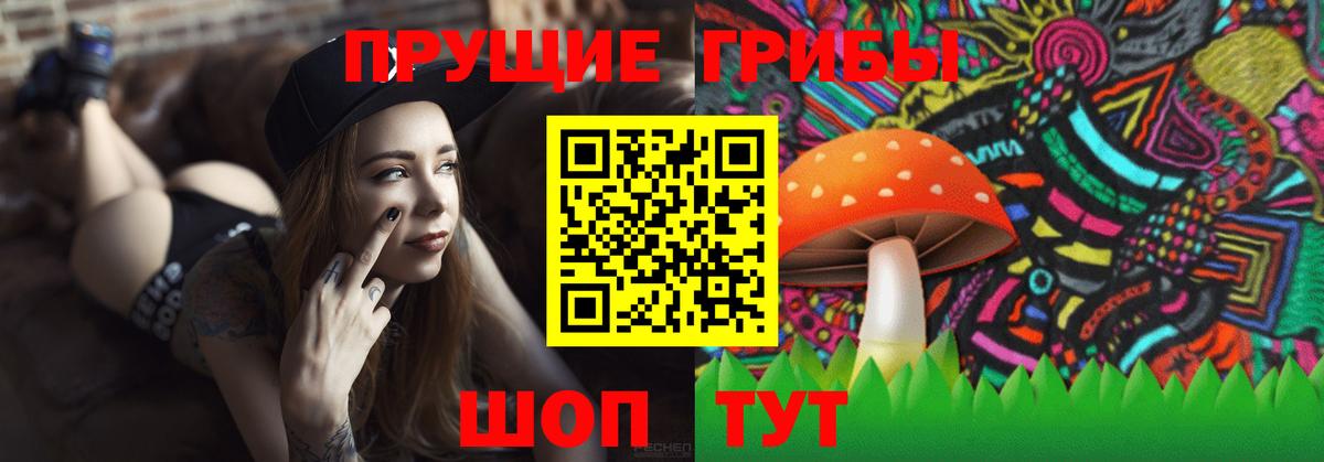 Галлюциногенные грибы GOLDEN TEACHER  Вход с VPN  Урус-Мартан 